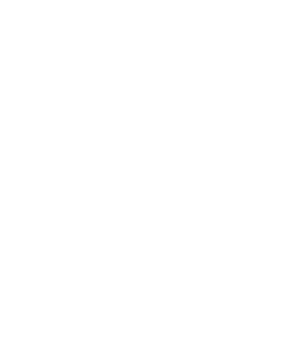 Chris R Owl Logo